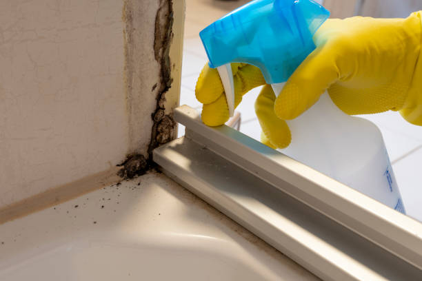 Best Residential Mold Removal  in Saint Davids, PA