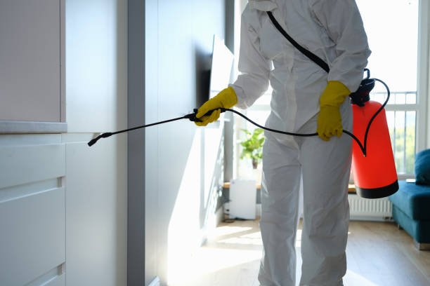 Best Mold Cleaning Services  in Saint Davids, PA