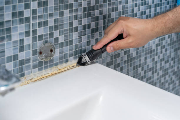 Best Mold Testing and Removal  in Saint Davids, PA
