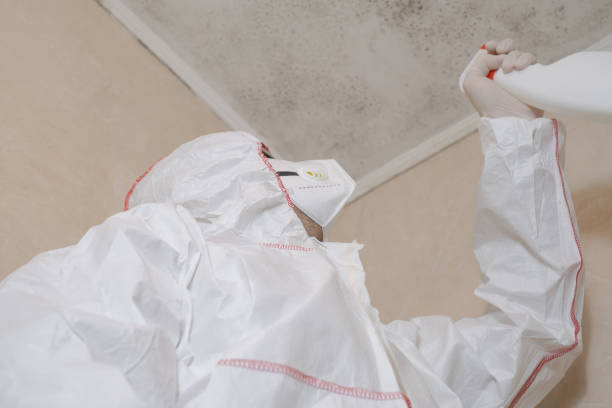 Best Attic Mold Removal  in Saint Davids, PA