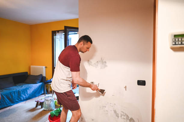 Best Water Damage Restoration  in Saint Davids, PA
